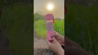 Grewia asiatica juice in garden ASMR #shorts