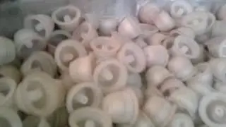 CAP ASSEMBLY MACHINE YVM  9810861729