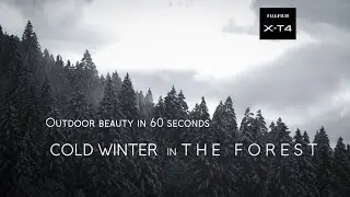 Cold winter in the forest | Outdoor beauty in 60 seconds | Fujifilm X-T4