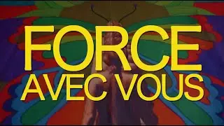 Sylvain Fesson - Force avec vous