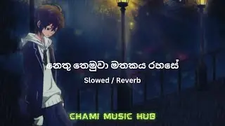Nethu Themuwa | නෙතු තෙමුවා | Slowed & Reverb | Chami Music Hub