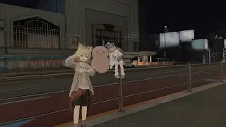 釣り配信へ急遽変更！ラグすぎ