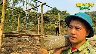 Family Farm Stories: Building a dream wooden house in the deep forest | New beginnings ep. 9