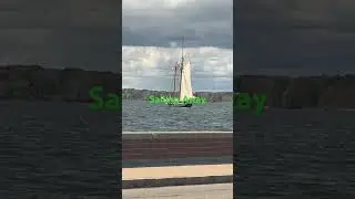 Sailing Away #eriepennsylvania