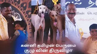 கன்னி நாய்களுக்கு இப்படி ஒரு திருவிழாவா..!  | #kanni #chippiparai #nativedogs