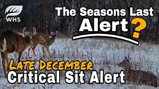 Late December Sit Alert