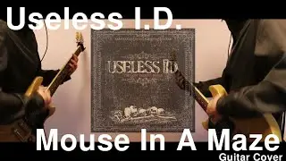 Mouse In A Maze - Useless ID  ( Guitar Cover )