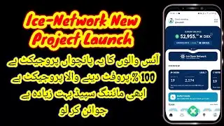 Ice-Network New project launch