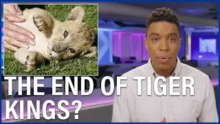 New law will shake up US exotic animal industry (In The Loop)