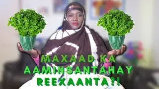 RUUX WALBOOW OGOOW REEXAANTA WAA RIZAQ RASMI AH?!