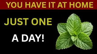 Boil These Healing Leaves to Instantly Lower Blood Sugar, Cholesterol & Belly Fat!