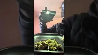 Lit farms unboxing ICE CREAM RUNTZ BUBBLEGUM RUNTZ GUSHERS LEGENDARY KUSH 39.00 EACH tap in👌🏾