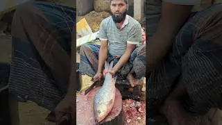 Giant Rohu Fish Cutting Skills in Fish Market 😱😱 || #shorts #fishcutting_skills