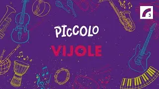 PICCOLO | Vijole