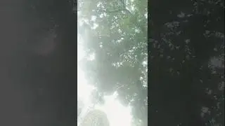 #aplatestupdates