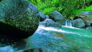 Relaxing Sounds For Sleeping - Tranquil River - Forest Scene For Meditation & Relaxation
