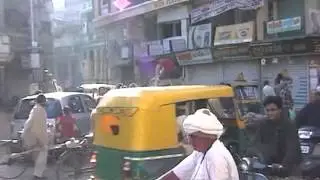 Indian Elephant Ride