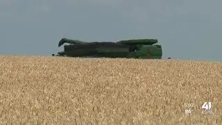 Farmers having mixed experiences from ongoing drought as wheat harvest begins