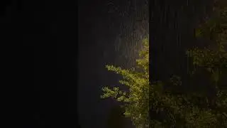 Kurdistan Baran 4/2025