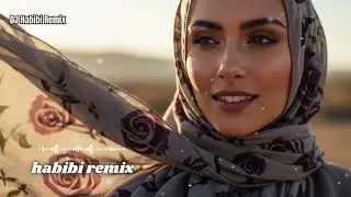 Ultimate Habibi Remix 2026 | Best Arabic Love & Chill Vibes