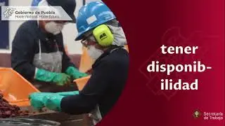 &iquest;Quieres trabajar en otro estado?