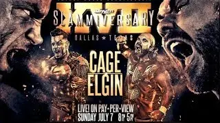 IMPACT SLAMMIVERSARY 17 MICHAEL ELGIN VS BRIAN CAGE FOR THE IMPACT WORLD CHAMPIONSHIP (WWE 2K19)
