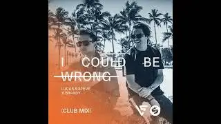 Lucas & Steve, Brandy - I Could Be Wrong (Yusca VIP)