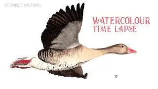 Painting a goose in WATERCOLOUR /// Painting timelapse