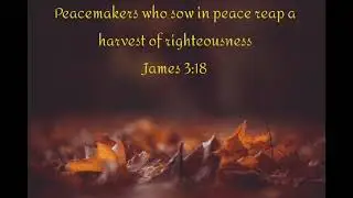 reaping a harvest of righteousness #scriptureprayer #Jesus #faithprayer