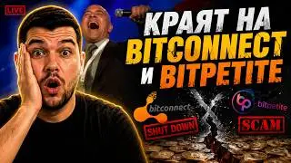 Краят на Bitconnect и Bitpetite
