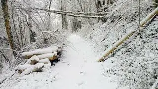 TREIGNY  SOUS LA NEIGE