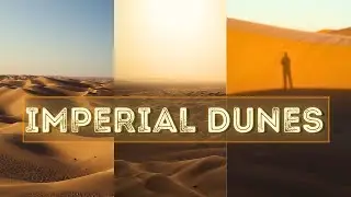 Algodones Dunes: A Sublime Sanctuary of Sand