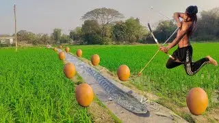 Unique & Best  Bowfishing Video 2023 | Many Big Fish  Catching With Crossbow In Water Drain