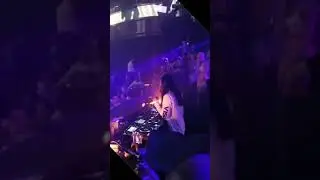 World Crypto Con - Steve Aoki CRYPTOWEEN