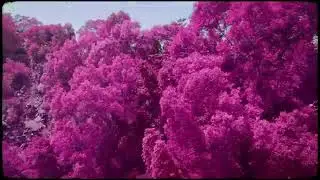 yeule - Don't Be So Hard On Your Beauty (reversed)