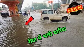रीवा शहर भारी बारिश के चपेट में आ गया है || Rewa News || mp singh vlog
