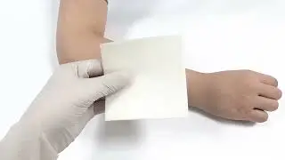 Ceeport Calcium Alginate Dressing