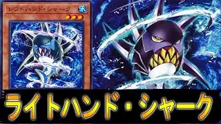 【YGOPRO】 Right-Hand Shark / Left-Hand Shark DECK  