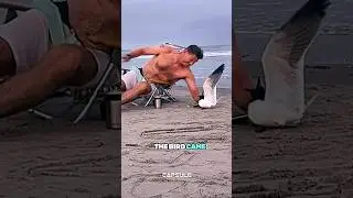 Этот мужчина поймал птицу руками. 😱 #шорты