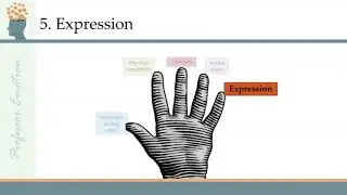 Components of Emotion (Ep 2)