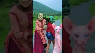Baby sister dancing with cat 😺&hearts;️😱👧🏻&hearts;️👶🏻 #funny #short #viralvideo #subscribe