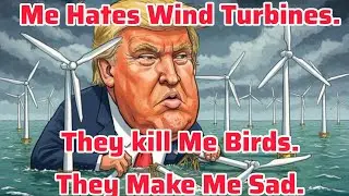Trump fights Wind Turbines in Europe. Are they the biggest bird killers? 