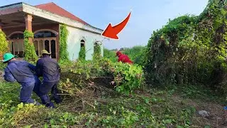 Vines covered the house like a curse - A miraculous revival after 5 years.