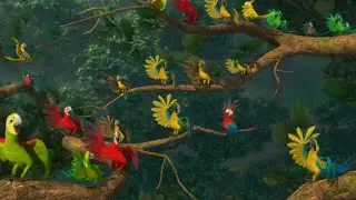 POGO - Rise & Glide