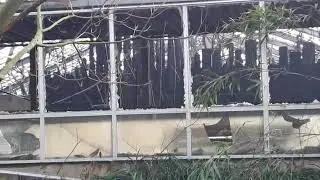 Brand im Krefelder Zoo das Affenhaus ist komplett Abgefackelt