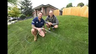 New Build Lawn Installation (as seen on DVine Living 7TWO)