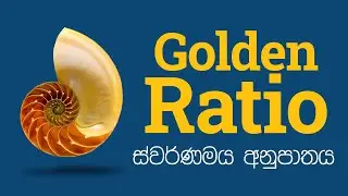 Golden Ratio - ස්වර්ණමය අනුපාතය - Part 1