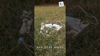 BS Toys - SOS Dogs Relay GA543