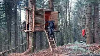 Building a treehouse safely in bad weather | Shelter from predators and blizzards