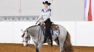 VS Phantom Code - AQHA/APHA Stallion